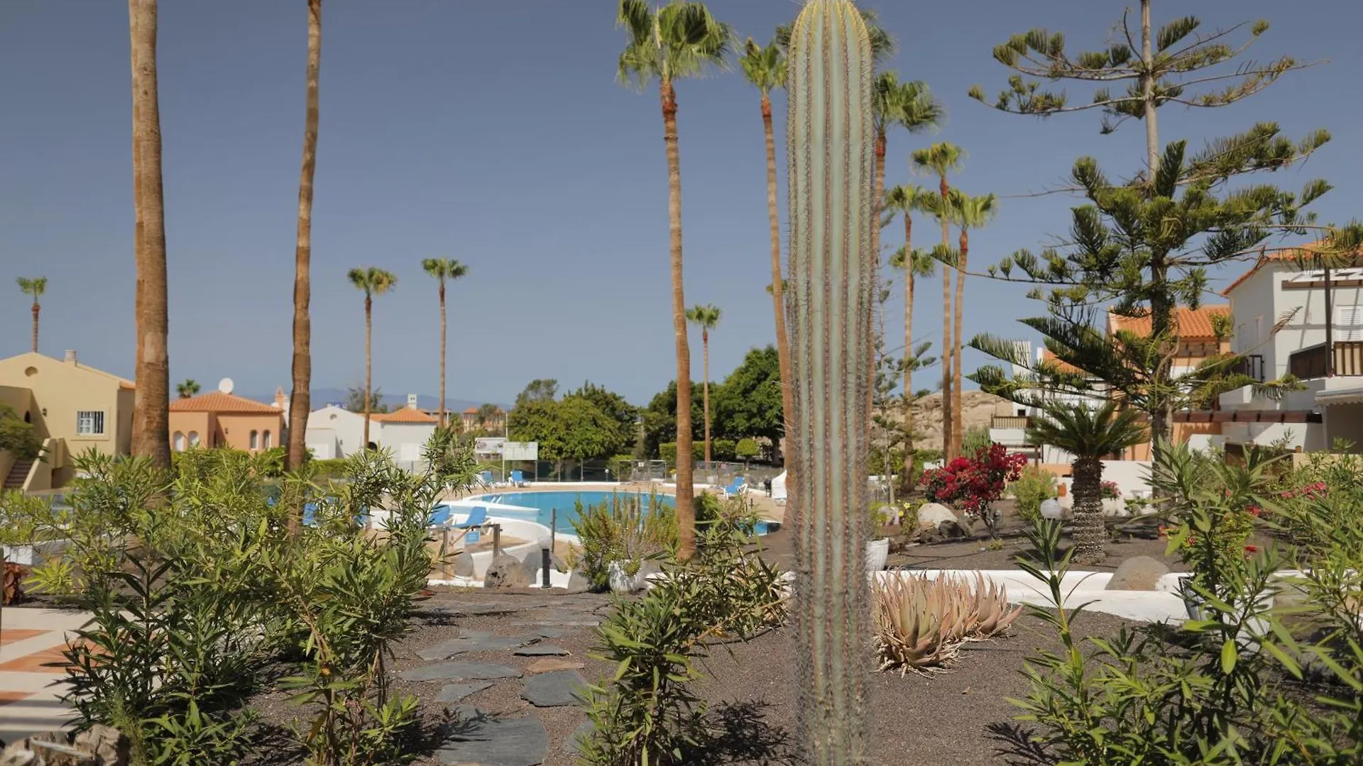 Almacanarias.Holidays Alma 2 Costa Adeje  Apartment Costa Adeje (Tenerife)
